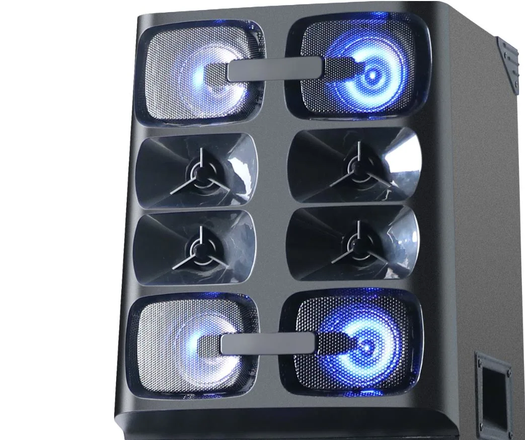 High Power 10*2 Inch Wireless LED Light Party DJ Stage Mic Multimedia Karaoke Subwoofer Woofer