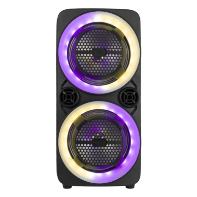 8 Inch Woofer with Tweeter 100W 12V Rechargeable Speakers Bluetooth Wireless Portable Speakers with Attractive LED Light