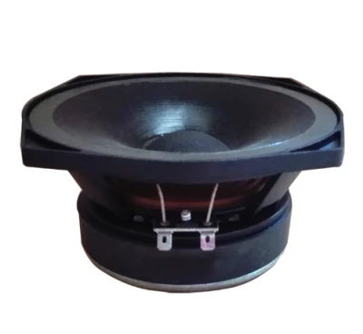 M06/B171 -100watt Professional Audio MID Bass 6 Inch PA Speaker Woofer